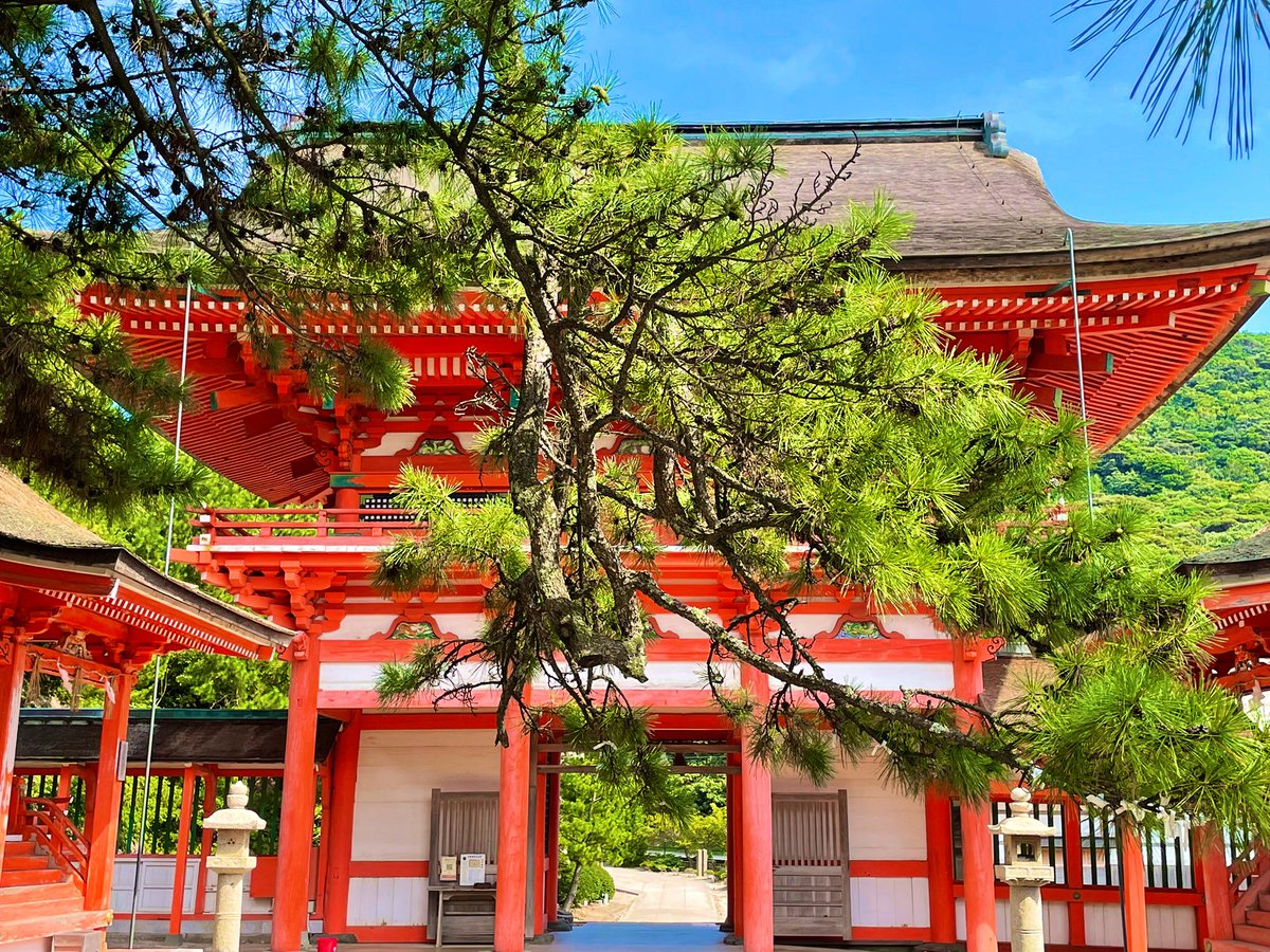 lovemiporinlove's tweet photo. 日御碕神社⛩に行く際スサノオノミコトの終焉の地🌿 神蹟 隠ヶ丘にお詣り⛩「吾が神魂はこの柏葉の止まる所に住まん」と柏葉を投げて占い🌿風に舞った柏葉が此処に止まったことから祀られる⛩
澄んだ空気🌱
深呼吸☘️
心和らぐ神聖な場所🍀𓂃𖡼𓂂𓏲𓅪𓏸
三色割子&amp;天ざる蕎麦🍤田中屋
素敵な出雲ご縁旅🌈 https://t.co/QsMELJLI3B