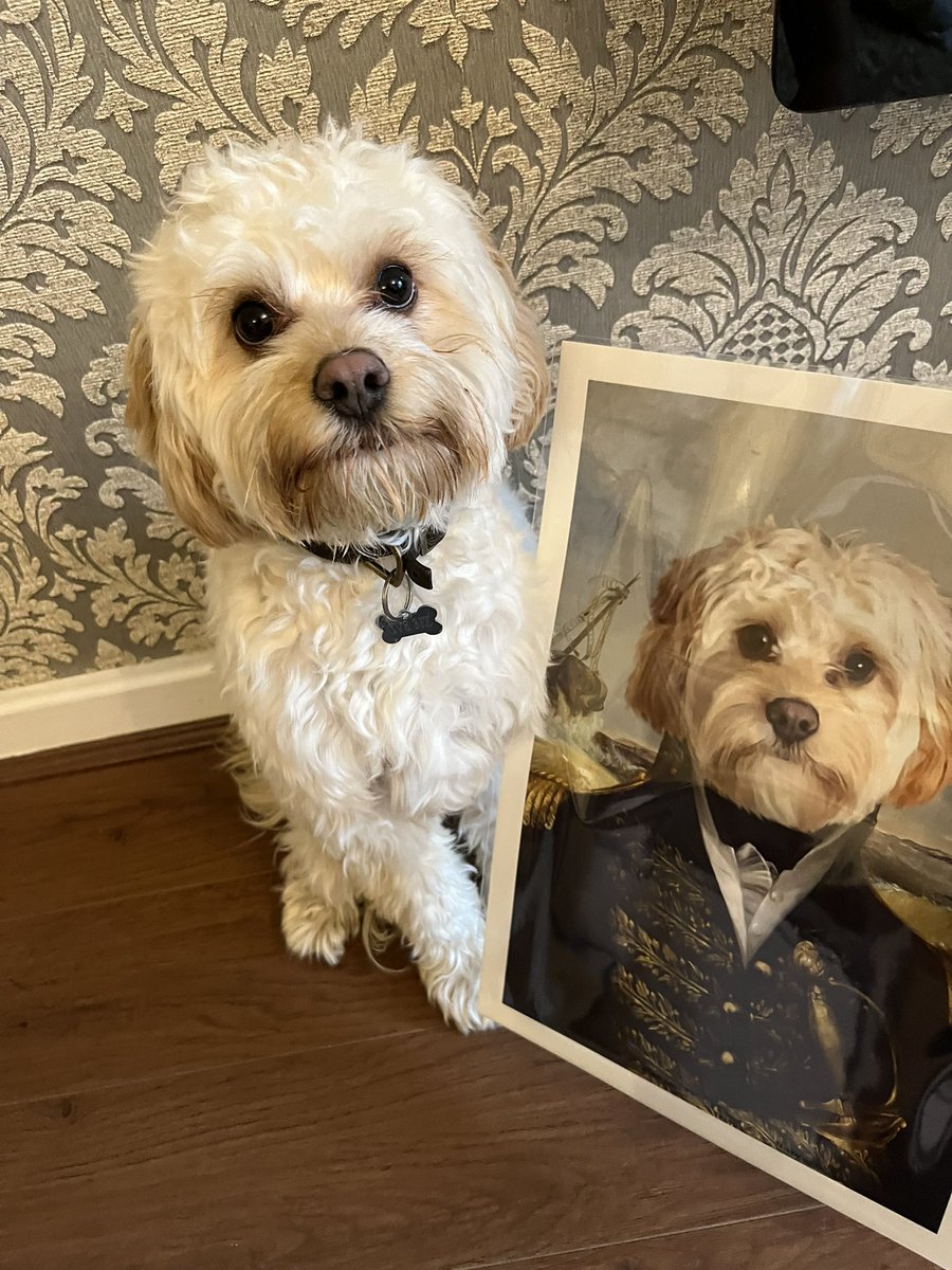 dalekeeling's tweet photo. Thank you @Purrandmutt Cavapoo Milo loves his portrait, fantastic service! 🖼️👍👍👍 https://t.co/Gi3z1yuLNQ
