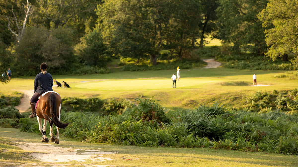 bramshawgc's tweet photo. Read all about the unique and thrilling golfing experience our Forest Course delivers in this recent review by the @golfshake team.🌲

https://t.co/SMEX9pXQiQ

#newforestgolf #newforest #golfshake #golftrip #hampshiregolf #bramshaw https://t.co/sgbm5HR2Dw