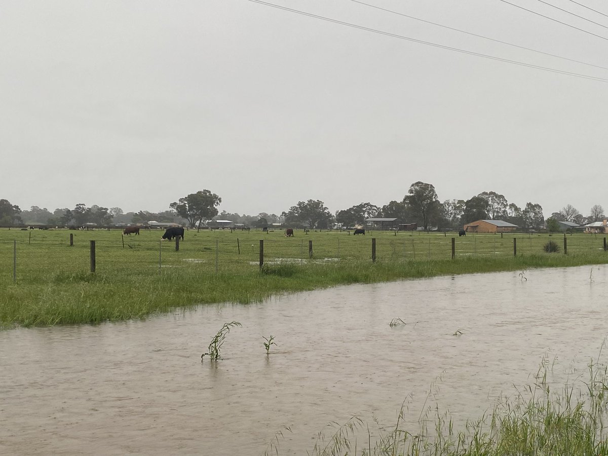 Hayley Elg tweet media