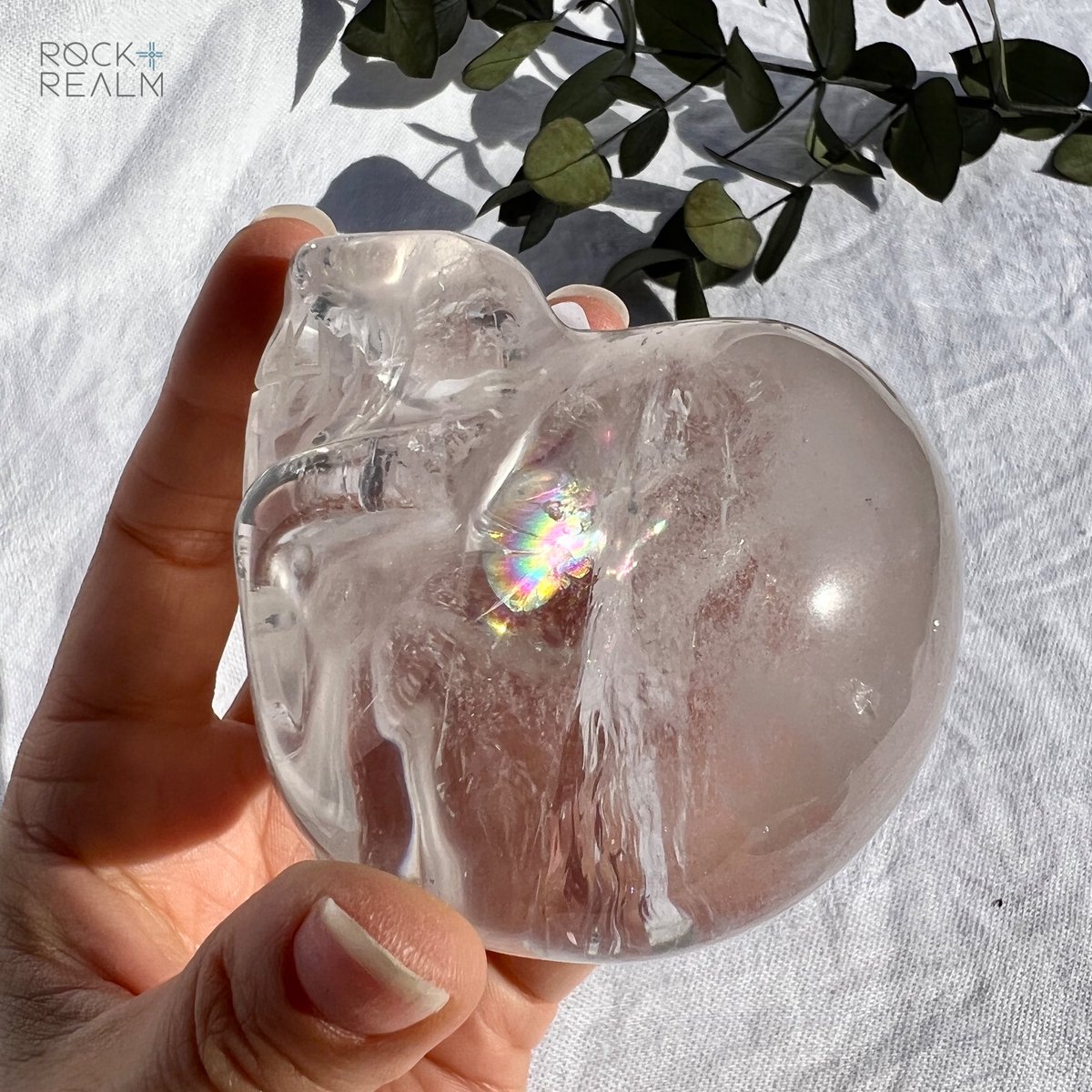 rockandrealm's tweet photo. Creepy or conduit to higher consciousness?

Crystal Skulls are pretty decisive in the crystal community… #marmite #crystalskull 

I’m in the LOVE camp! These Brazilian Clear Quartz skulls make my head tingle their vibration is so strong!

#halloween #skulldecor #crystallust https://t.co/fV0Kjn3Q8g