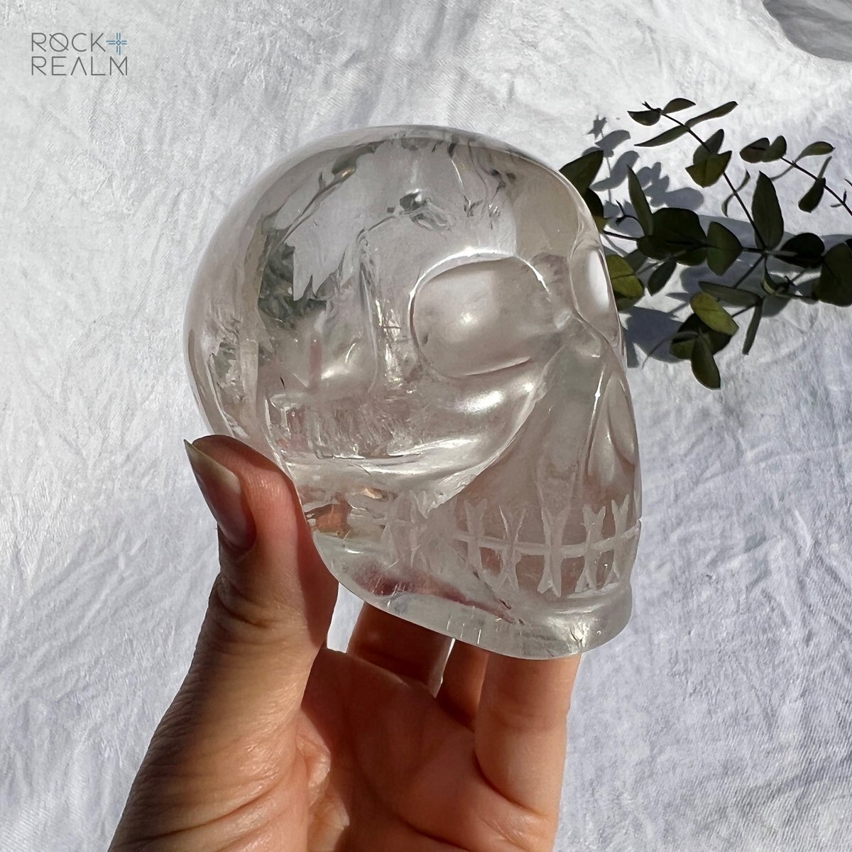 rockandrealm's tweet photo. Creepy or conduit to higher consciousness?

Crystal Skulls are pretty decisive in the crystal community… #marmite #crystalskull 

I’m in the LOVE camp! These Brazilian Clear Quartz skulls make my head tingle their vibration is so strong!

#halloween #skulldecor #crystallust https://t.co/fV0Kjn3Q8g