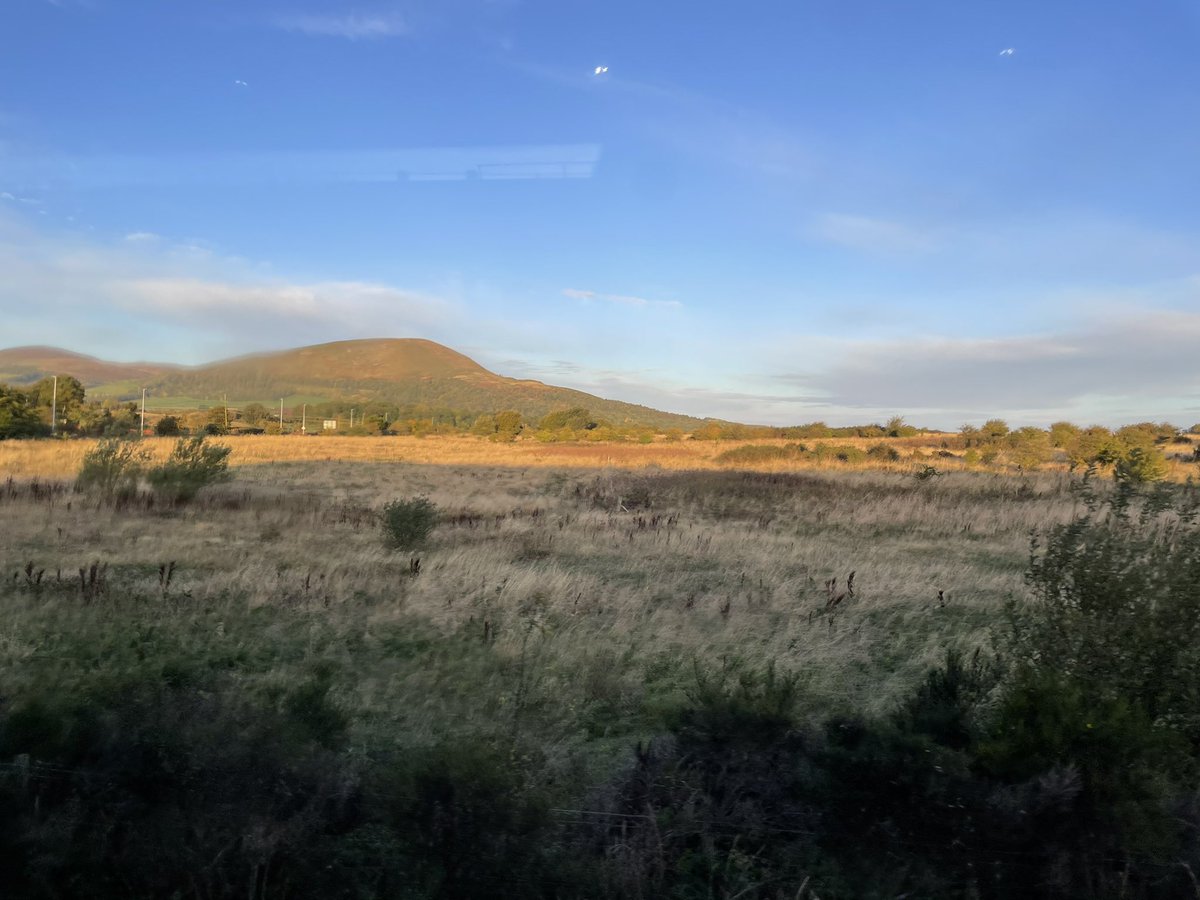 dvinchik's tweet photo. Sunny morning, bright and early(ish) and it’s a shoogly bus day. Chance to enjoy the view and get a shadow selfie… https://t.co/l4LHVNxFLO