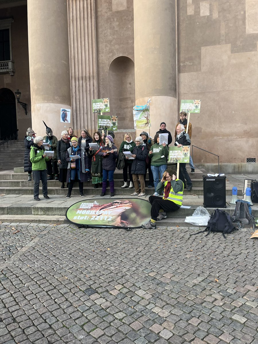 Daniel Tomicic tweet media