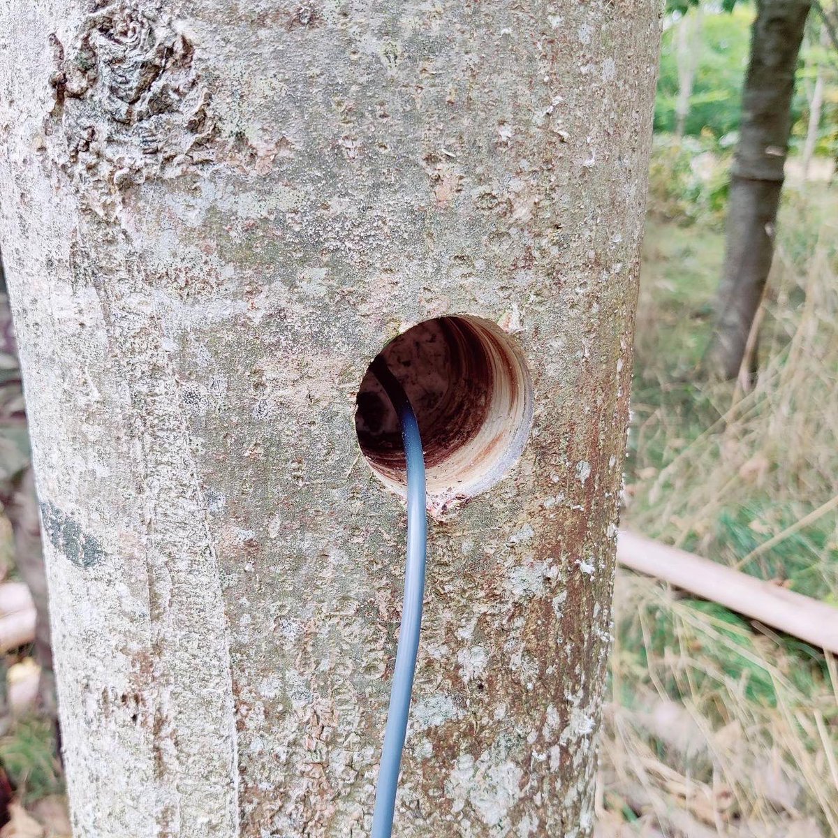 AirborneSappers's tweet photo. 1. Drill a hole 2. Fill it with PE 3. BANG!

@Airbornesappers are practicing route denial using explosives and chainsaws with @3PARA as part of Ex GREEN ENDURANCE. @16AirAssltBCT https://t.co/TaNqlAFEgq