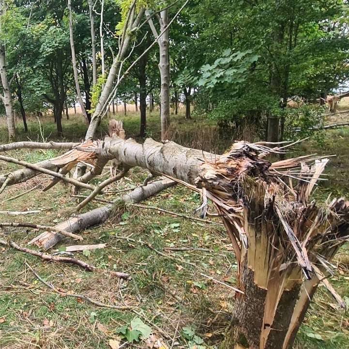 AirborneSappers's tweet photo. 1. Drill a hole 2. Fill it with PE 3. BANG!

@Airbornesappers are practicing route denial using explosives and chainsaws with @3PARA as part of Ex GREEN ENDURANCE. @16AirAssltBCT https://t.co/TaNqlAFEgq