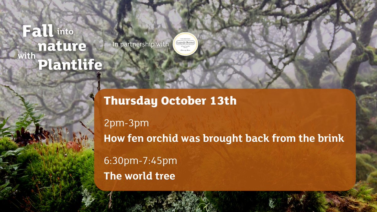 PlantlifeScot's tweet photo. Happy Thursday! Another day another round of #FallintoNature with Plantlife! Unfortunately, "Weaving modern folk tales for threatened species" is sold out, but there's still time to learn about fen orchids and the world tree! Check it out: https://t.co/iWatL47DOJ https://t.co/jDb2pTBA3h