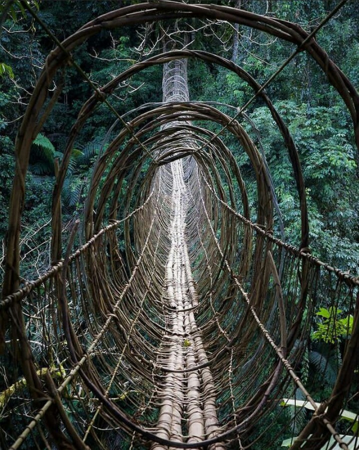 5. Damro, Arunachal Pradesh