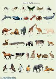 新的和类似这样的乐趣。