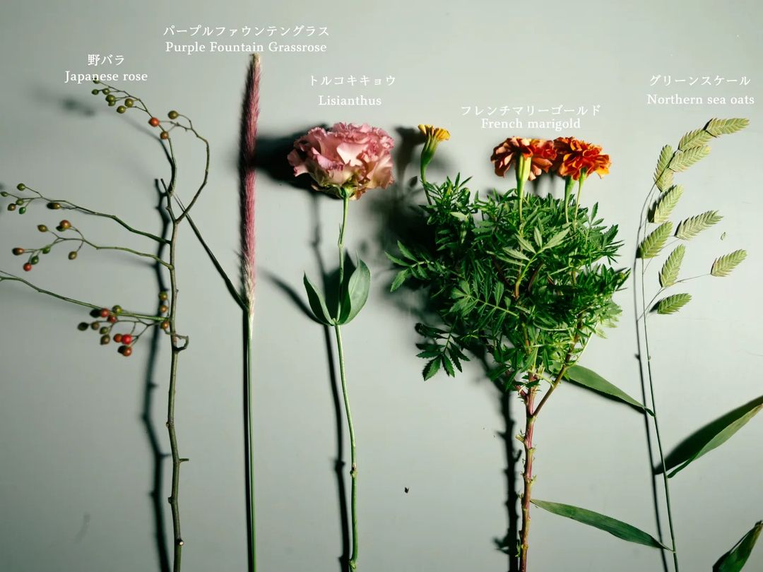 Lifft Lifftflower Twitter