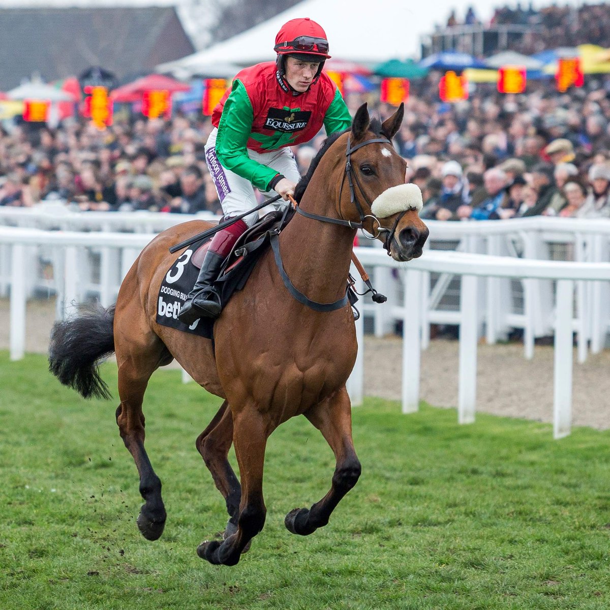 Dodging Bullets