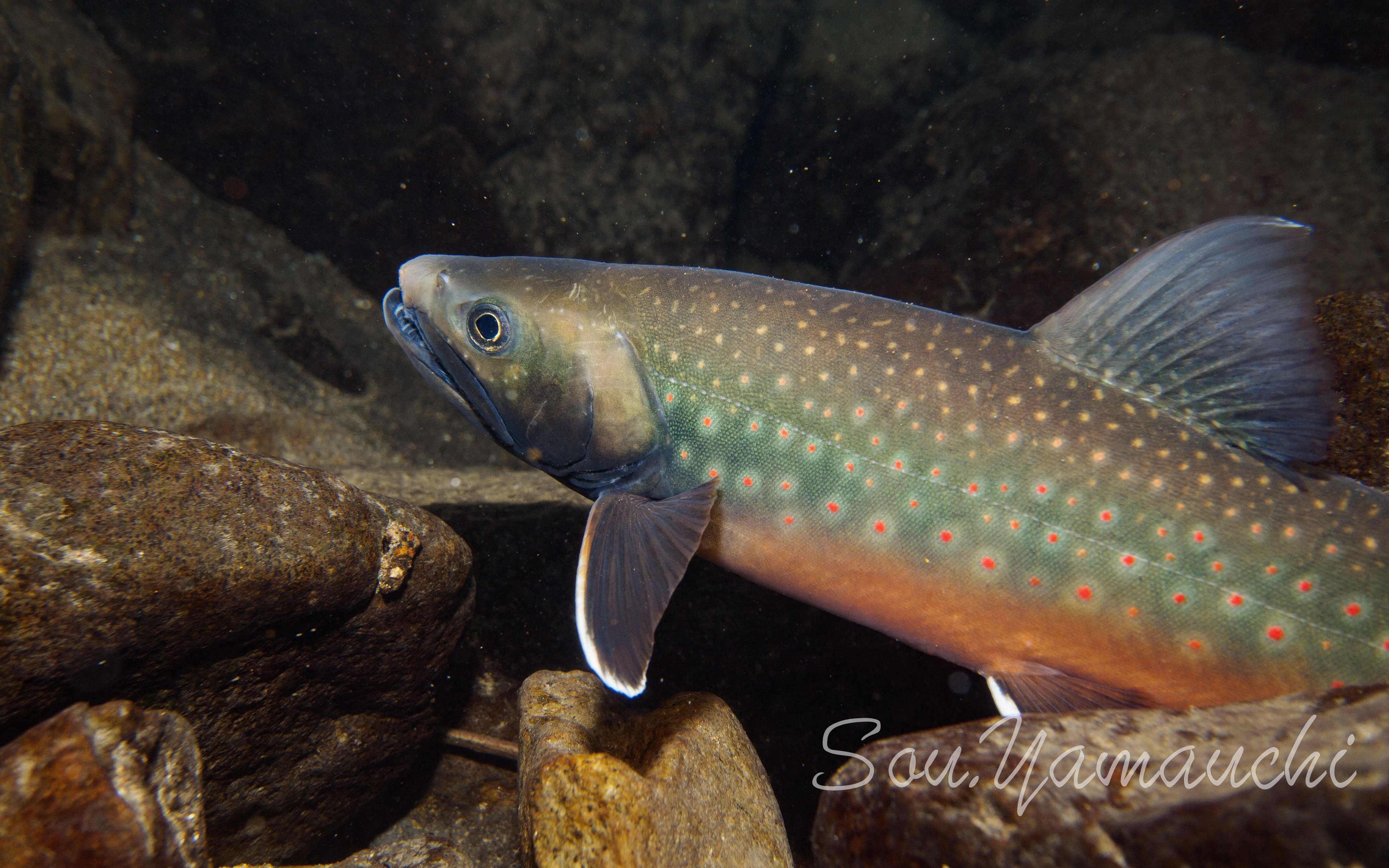 山内 創 on Twitter 