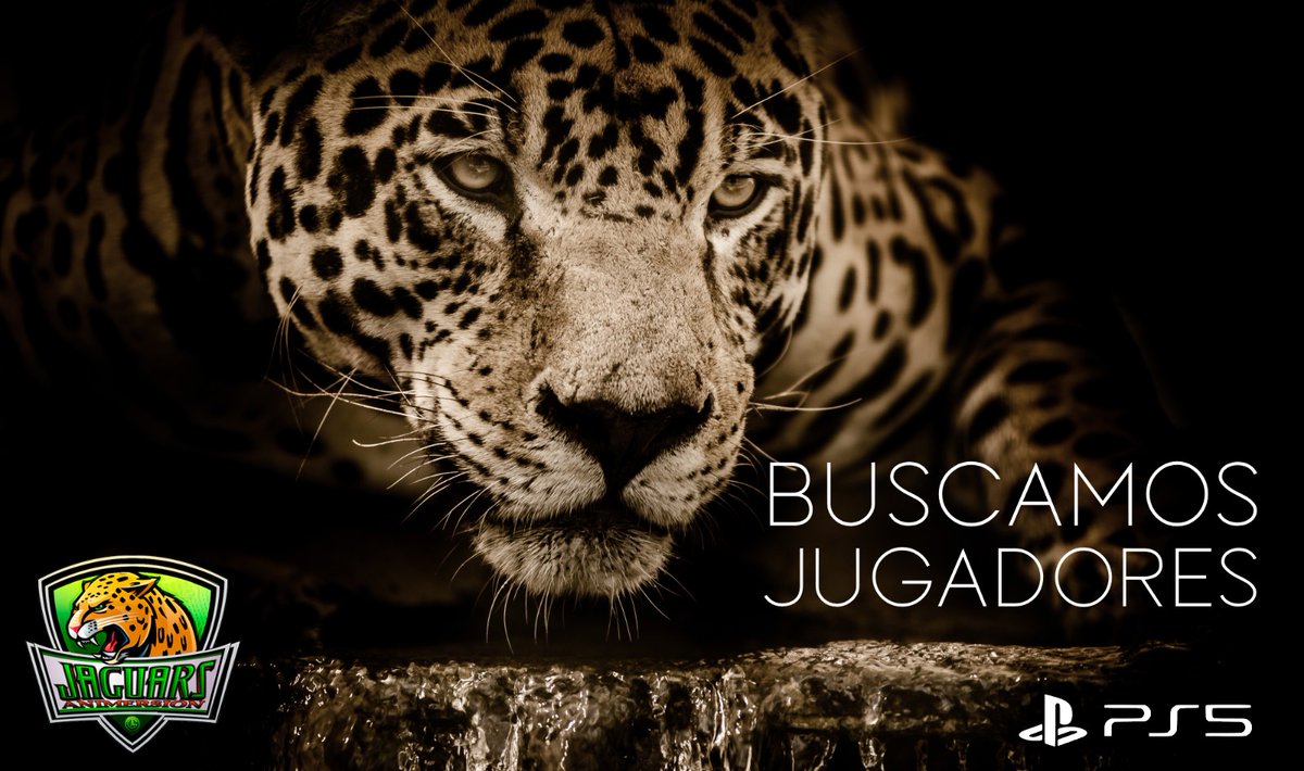 Buscamos Delantero para PS5 
@AYUDAACTIVA1
 
<a href="/Ayudas_clubes/">Ayudas Clubes</a>

<a href="/Ayudas_Fichajes/">Fichajes VFO ESP</a>
 
<a href="/_chocolate3000/">AYUDAS FIFA CHOCO3K🐦</a>

 @AyudaVFO 

<a href="/fichajes_pro/">FICHAJES PRO - Cuenta de ayudas</a>

<a href="/FichajesAyudas/">Ayudas Fichajes</a>

<a href="/AyudasCPro/">Ayudas Clubes Pro</a>
 
<a href="/AyudaClubesPro/">Ayudaclubespro</a>

<a href="/ClubesProAyudas/">CLUBES PRO AYUDAS (CPA)</a>

<a href="/AyudasVFO_/">Ayudas VFO</a>

<a href="/ClubesProPs5/">Clubes Pro Ps5</a>