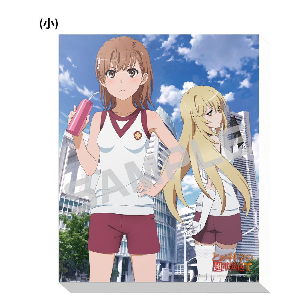 ／
TVアニメ「#とある科学の超電磁砲T」
アートグッズがECサイトでも販売開始❗️
＼

大人気「とある」シリーズの #超電磁砲T が、全10商品のアートグッズになって登場✨

詳細はこちら⚡️
▶️bit.ly/3Tj2RmQ

#レールガン
<a href="/toaru_project/">とあるプロジェクト公式</a>