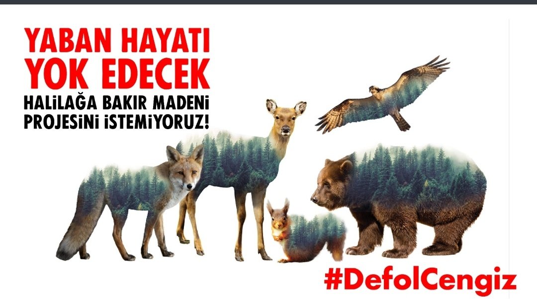 Ekosistemi katletmek için elinizden geleni yapıyorsunuz #DefolCengiz
