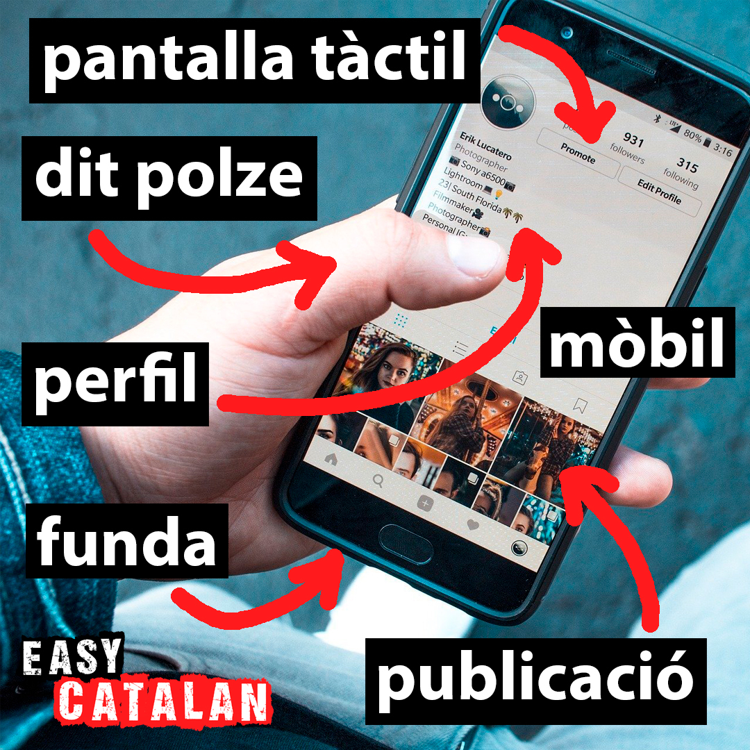 EasyCatalan's tweet photo. Paraules relacionades amb els mòbils.

pantalla tàctil - touch screen
dit polze  - thumb
mòbil - mobile
perfil - profile
funda - (mobile phone) case
publicació - post

Com es diuen aquestes paraules en la vostra llengua?

#pantalla #polze #perfil https://t.co/PUmLyVb2Wo