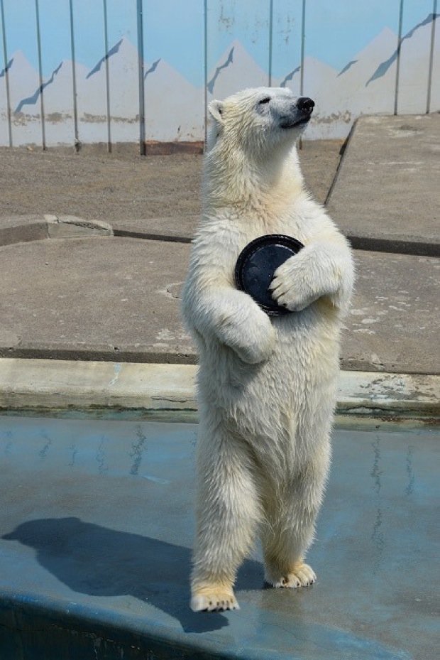 初めて自撮りあげます

#自撮り界隈と繋がりたい 
井美男美女と繋がりたい
井雰囲気嫌いじゃないよって人いいね 
#いいねした人全員フォローする
(先にフォローお願いします+👤)