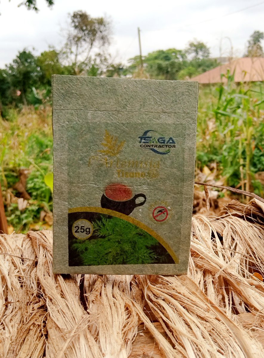 StardustStartup's tweet photo. Thanks to our microgrant, PRA (the new Cameroonian sustainable packaging startup), has reduced the drying time of their plantain-based "paper" products from 3-7 days to only 8 hours! ⌛ 

Learn more: https://t.co/Q5emV6NfZB

#cameroon #sustainablepackaging #impact #drc https://t.co/jqJiDYu3uF