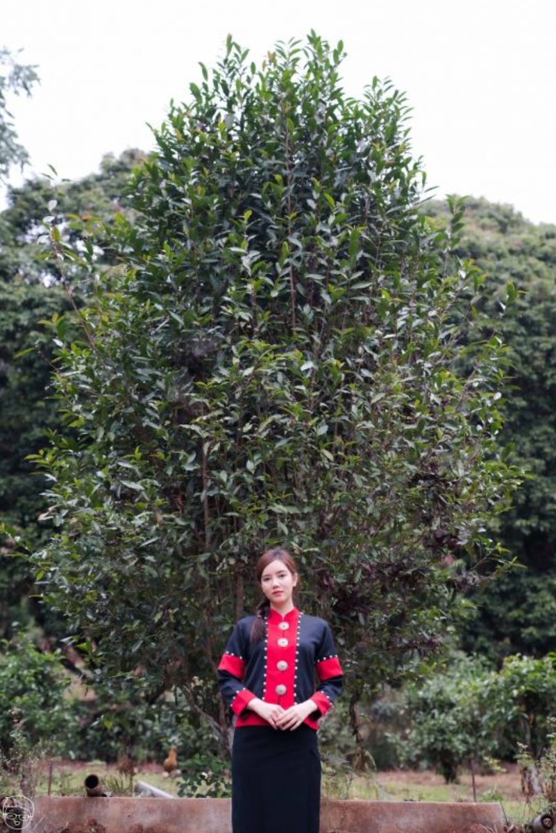 “50 ปี ต้นชาของพ่อ” ในความทรงจำของ “ริชชี่ อรเณศ” 
      อ่านข่าวต่อ : daradaily.com/news/119356/re…

#ดาราเดลี่ #daradaily  #ข่าวบันเทิง #ริชชี่อรเณศ