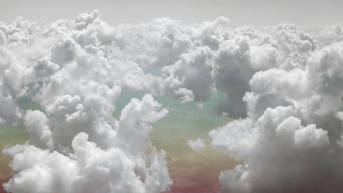 Sedition tweet media