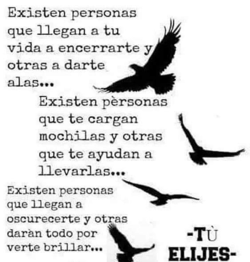 MVOG71's tweet photo. Me quedo con las personas que me hacen crecer y caminamos con luz propia https://t.co/fcIsbFme2s