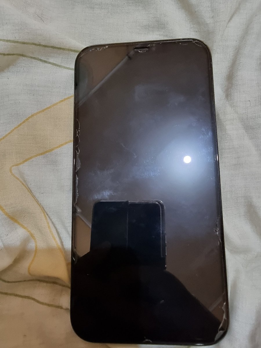 Tommchandra's tweet photo. (HARGA NET) TERMURAH DI PASARAN . Jual iPhone 12 Pro Max 256GB (Pacific Blue) 

HARGA 12.500.000 NET.
Dijual iPhone 12 Pro Max 256GB
Warna Pacific Blue
Harga dibawah pasaran
Terdaftar IMEI di Kemenperin
Kondisi 98%
Battery Health 85%
Mulus like new
Layar yg retak itu ANTI GORES https://t.co/bbnJEScHkO