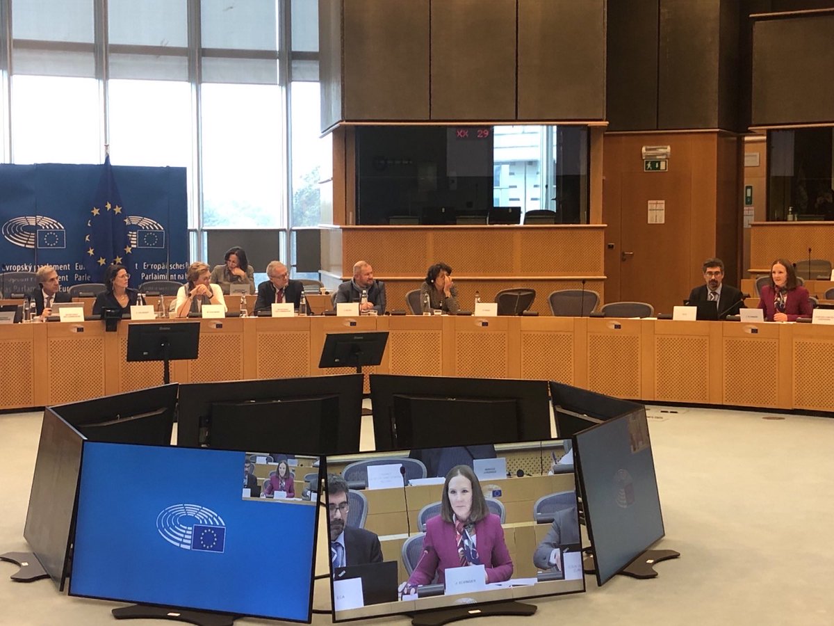 Today I presented the <a href="/EUauditors/">European Court of Auditors</a> special report evaluating COVID-19 vaccine procurement process of to the joint #COVI - <a href="/EP_BudgControl/">CONT Committee Press</a> committee meeting ⁦<a href="/Europarl_EN/">European Parliament</a>⁩