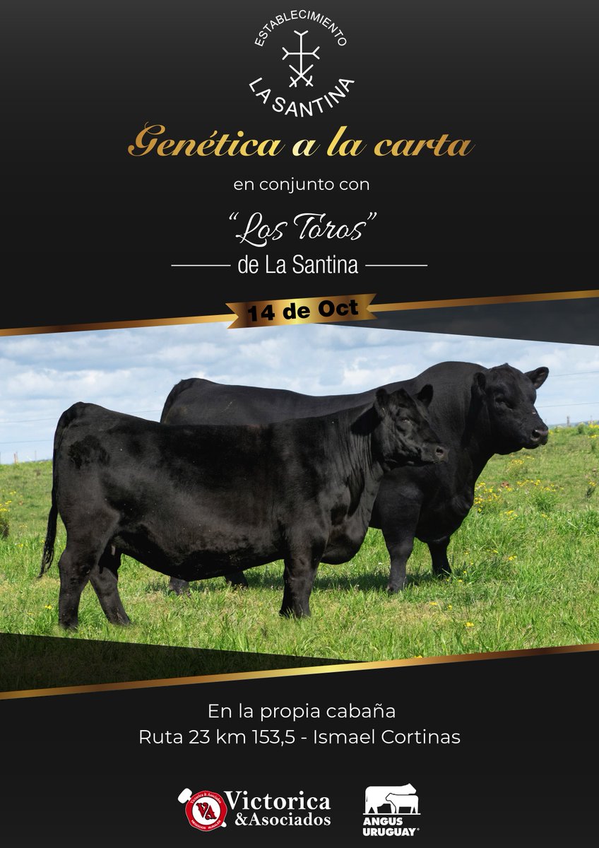 ℝ𝕖𝕞𝕒𝕥𝕖 𝔸𝕦𝕤𝕡𝕚𝕔𝕚𝕒𝕕𝕠 𝔸𝕟𝕘𝕦𝕤
𝗚𝗲𝗻é𝘁𝗶𝗰𝗮 𝗮 𝗹𝗮 𝗖𝗮𝗿𝘁𝗮 𝗲𝗻 𝗰𝗼𝗻𝗷𝘂𝗻𝘁𝗼 𝗰𝗼𝗻 𝗟𝗼𝘀 𝗧𝗼𝗿𝗼𝘀 𝗱𝗲 𝗟𝗮 𝗦𝗮𝗻𝘁𝗶𝗻𝗮
 📅Viernes 14 de Octubre 
🔨 <a href="/victorica_y_aso/">Victorica & Asoc.</a>
  📲Catálogo disponible 
remates.victorica.com.uy/remates/gen%C3…
 
#zafraangus #másqueunaraza