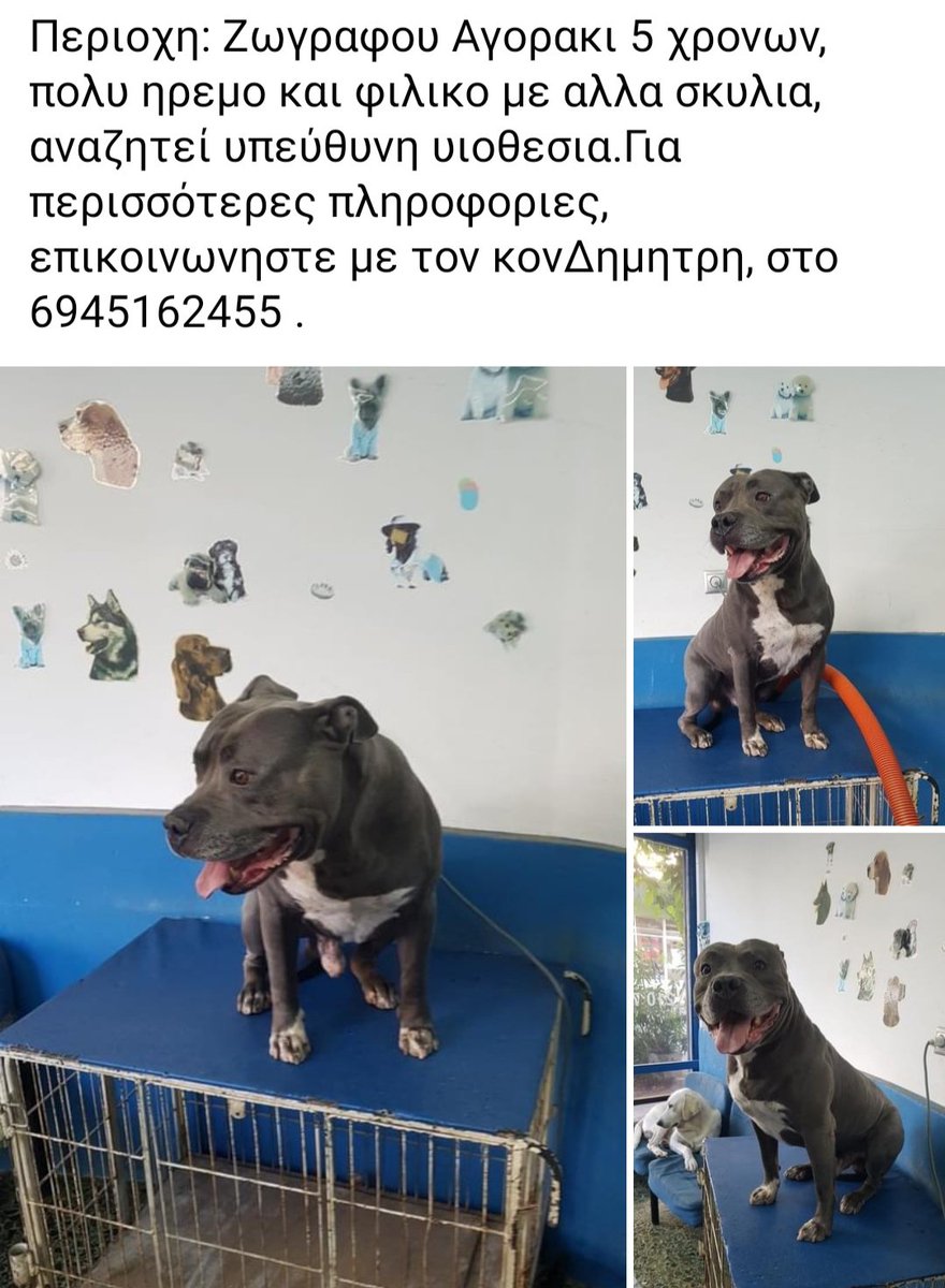 Χλε_Μπονα Σαμερ tweet media