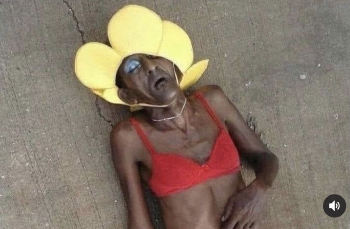 Wyndson's tweet photo. Eu tô na flor da idade. 

A flor: https://t.co/XaPJ0AQSQx