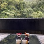 ツイートに含まれる画像