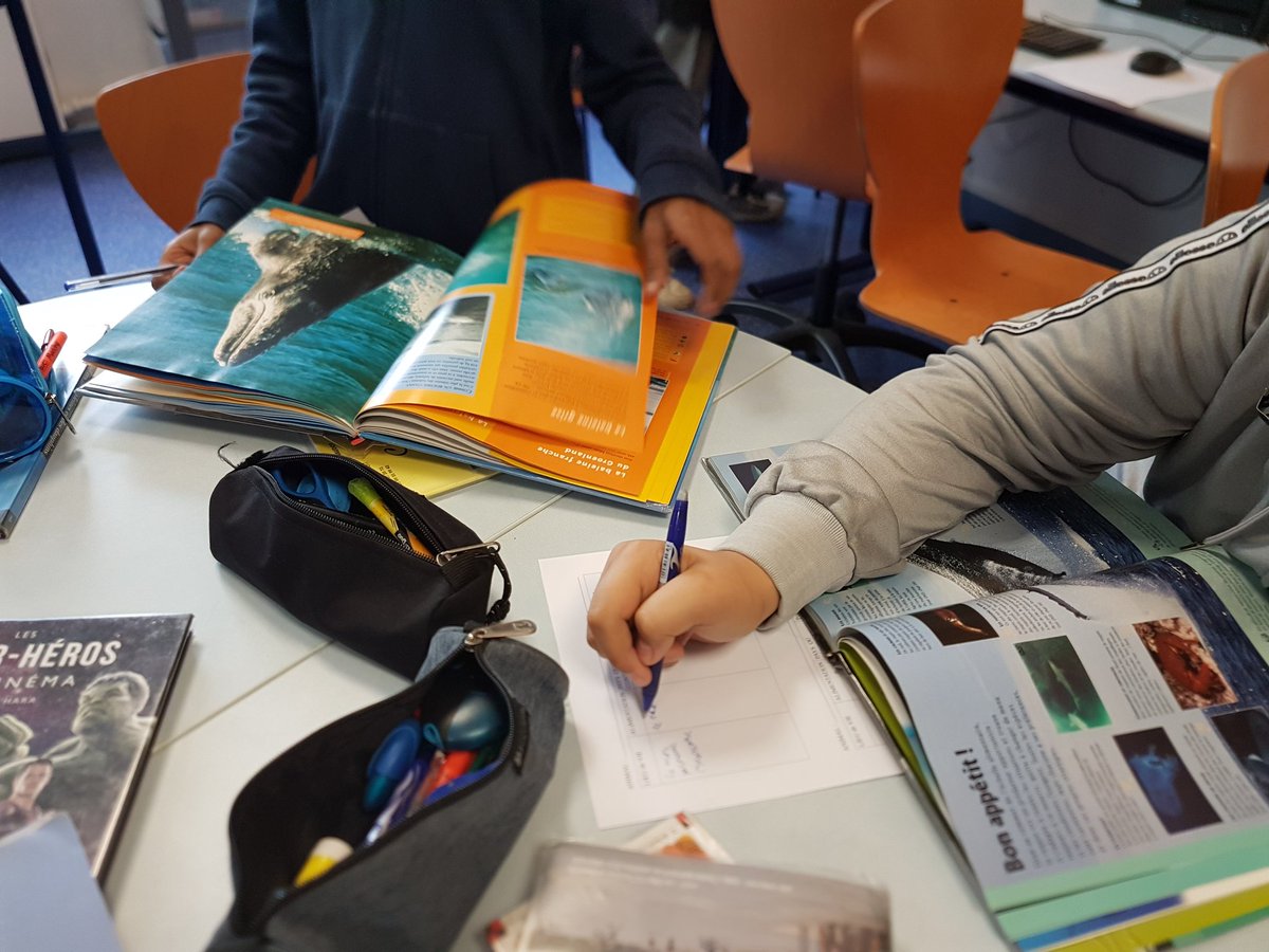 ernaux's tweet photo. Le #CDI en ébullition 🔎🔎 documentaires sur les animaux #esidoc #Segpa #coanimation https://t.co/75J65RaVG1