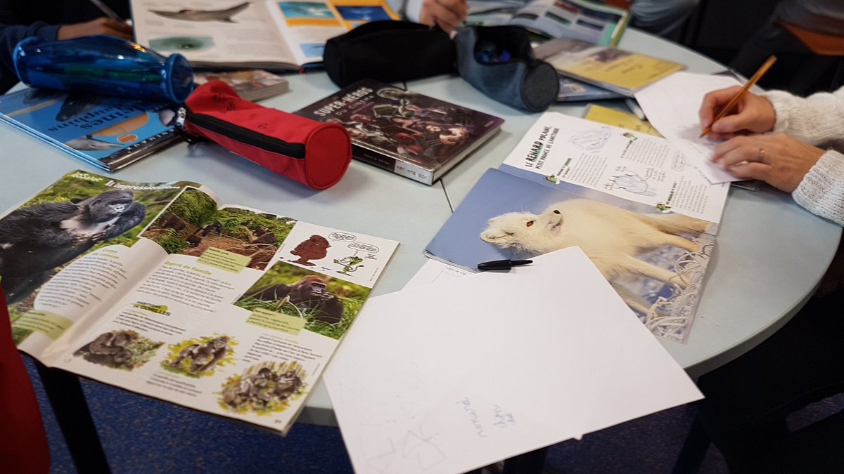 ernaux's tweet photo. Le #CDI en ébullition 🔎🔎 documentaires sur les animaux #esidoc #Segpa #coanimation https://t.co/75J65RaVG1