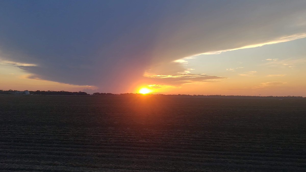 AshleyReneeWx's tweet photo. Gorgeous sunset over #DoddsvilleMS π. #SunflowerCounty #mswx #mississippidelta #viewerphotos https://t.co/g1eLnp3i4t
