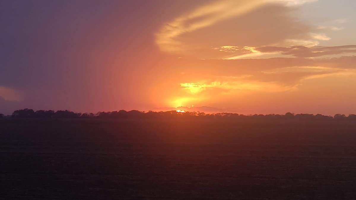 AshleyReneeWx's tweet photo. Gorgeous sunset over #DoddsvilleMS π. #SunflowerCounty #mswx #mississippidelta #viewerphotos https://t.co/g1eLnp3i4t