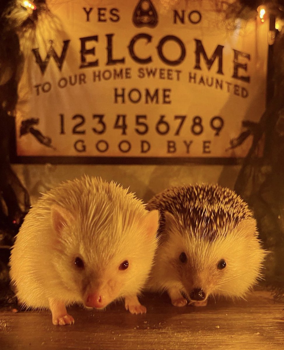 Thursday 13th October, 2022