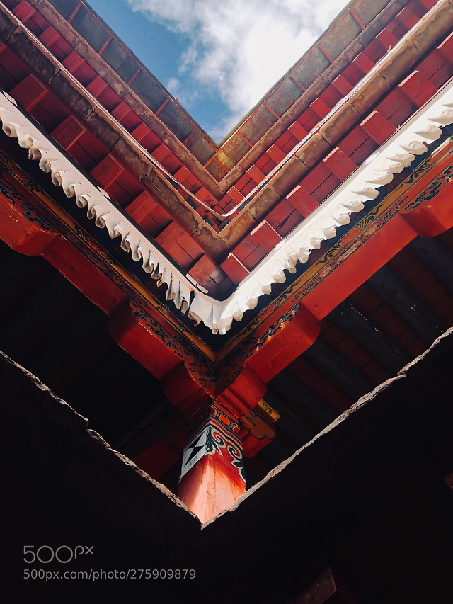 仰视 by vcg-liangmao