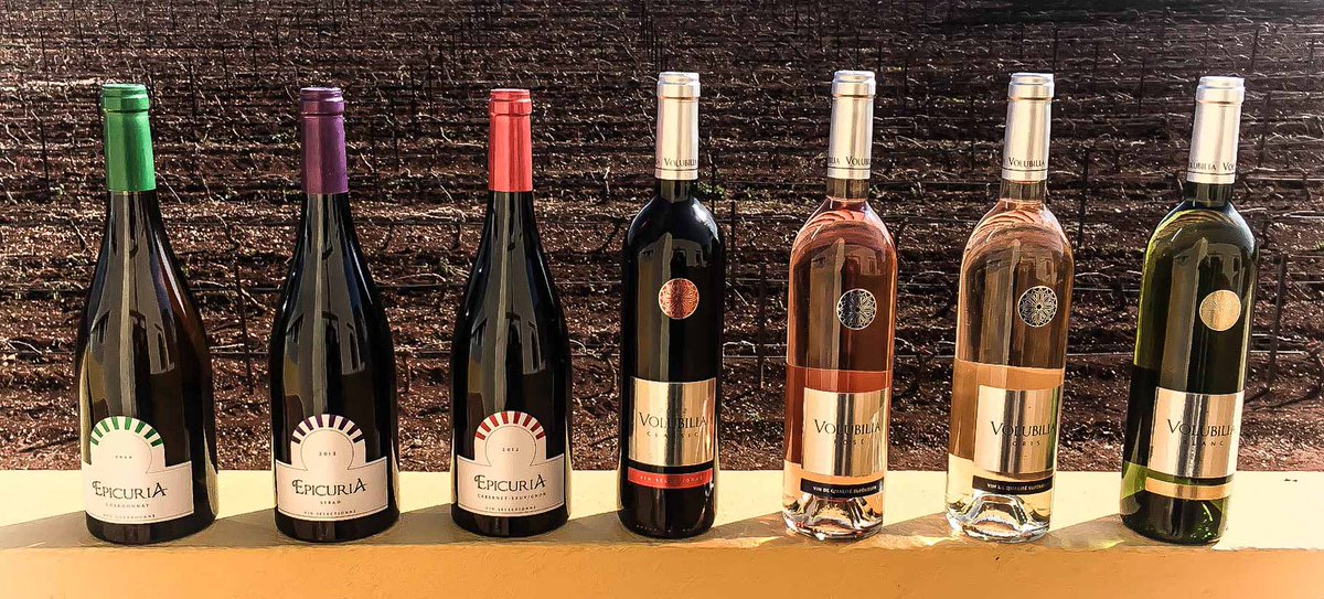 What are you waiting for, book it now with us,
 Wine Road Tour
wine tasting in morocco