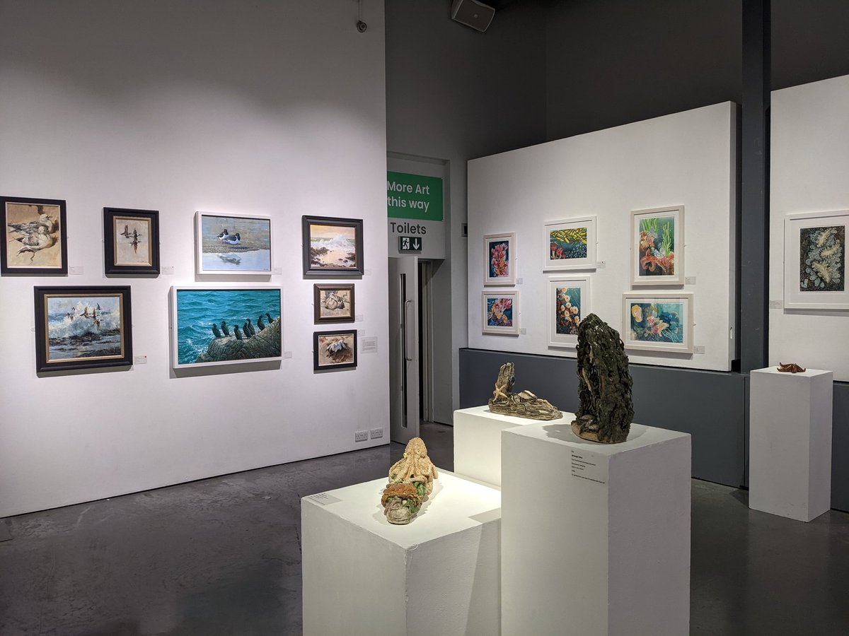What a fabulous evening at @_bto #MarshAwards - a well-deserved set of recipients including the esteemed @TheLabAndField, great craic &amp; some amazing art. If you are in #London go 👉mallgalleries.org.uk/whats-on/exhib… but sorry, one fewer to choose from now 😁 #art #conservation #ornithology