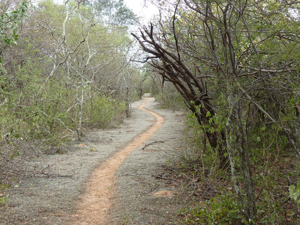 elnacionalpy's tweet photo. POLÉMICA | 🔴

La Cámara de @DiputadosPy aprobó el Proyecto de Ley que permite la prospección, exploración y explotación de hidrocarburos en el área protegida del Parque Nacional Médanos del Chaco, donde viven especies únicas en el país como el guanaco, entre otras.

#ElNacional https://t.co/sypIW8fE7p