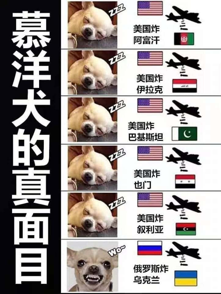 allen27410505's tweet photo. 畫得很貼切，狗糧可不是白扔的 https://t.co/jEiQKDAsvh