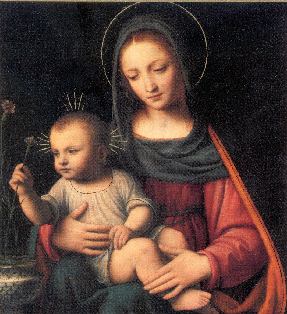 Madonna of the Carnation 
#BernardinoLuini ––1515