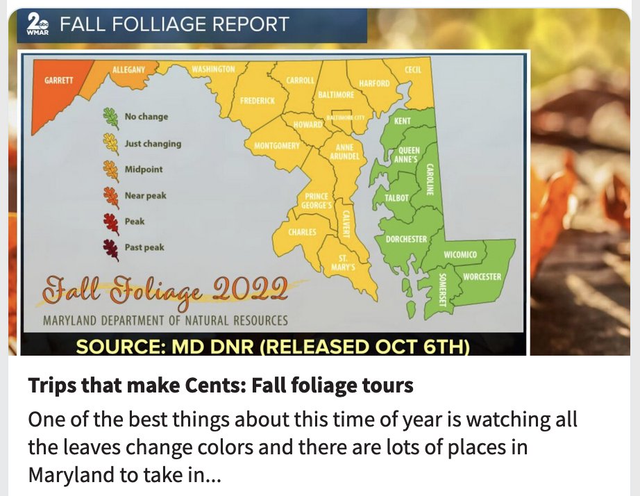 LifeInBmore's tweet photo. Trips that make Cents: Fall foliage tours
https://t.co/8af21wmxAh
~~~
#LifeInBmore #BmoreLife #BmoreLiving #Baltimore #BaltimoreCity #CharmCity #BMore #MyBmore #BLM #CraigPhillips #KamaryPhillips #EastBaltimore #CharmCityBeat #localnews https://t.co/wxSQ2Nn5co