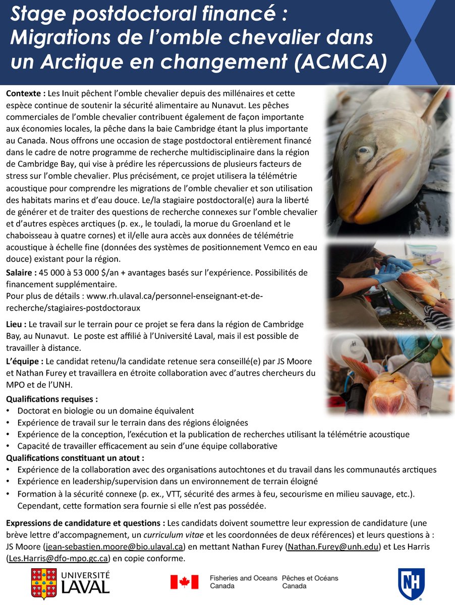 Matt Gilbert tweet media