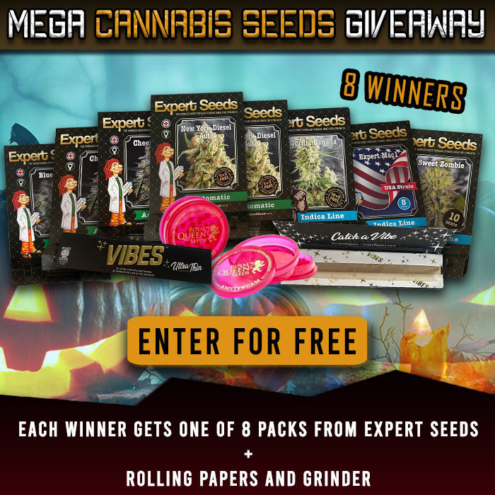 Our new Mega Cannabis Seeds Giveaway is here!

ENTER FOR FREE: ow.ly/WeZq50L958b

#londonseedcentre #cannabisseeds #cannabis #weedstagram #giveaway #expertseeds