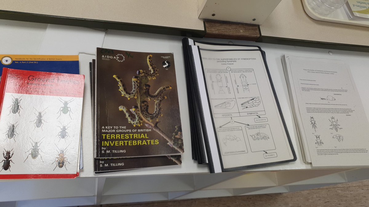 Dr Ben Clunie tweet media