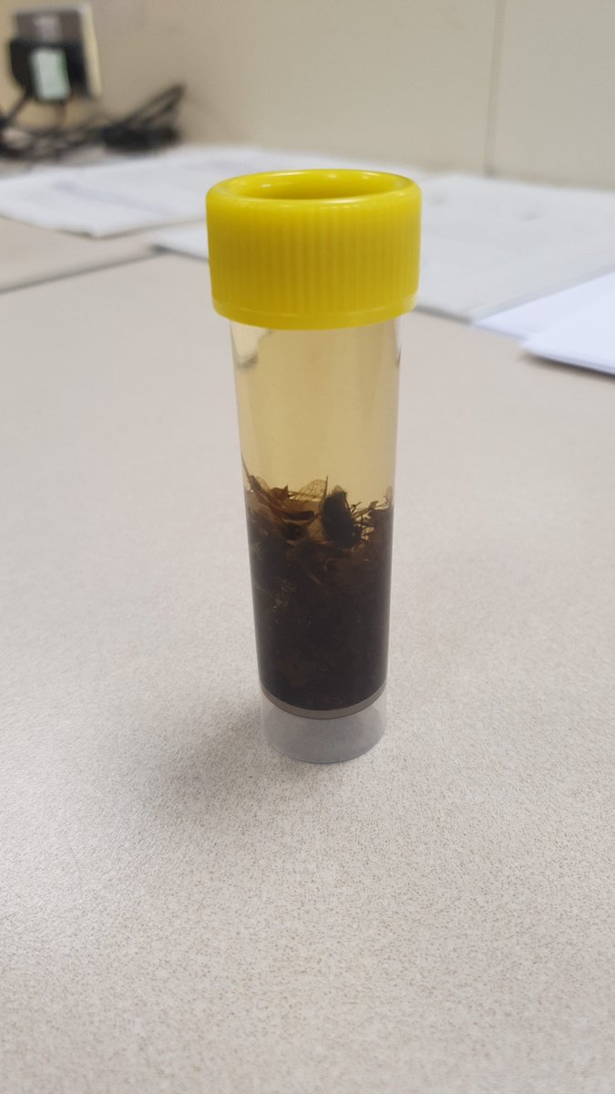 Dr Ben Clunie tweet media