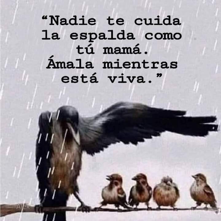 Silvia Aniceto Martinez (@aniceto_silvia) on Twitter photo 