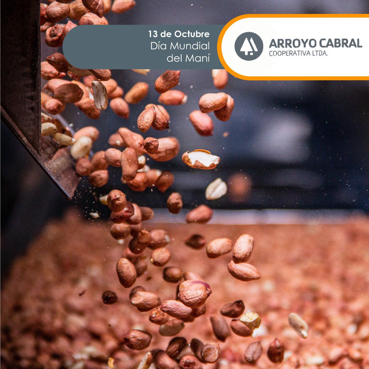 coopacabral's tweet photo. Este 13 de octubre celebramos el *Día Mundial del Maní*

👉 Nuestro sector manisero se expandió a lo largo de los años. Esto nos permite hoy procesar más de 12 mil toneladas de maní en caja 🥜🥜 https://t.co/kpH4XpknzC