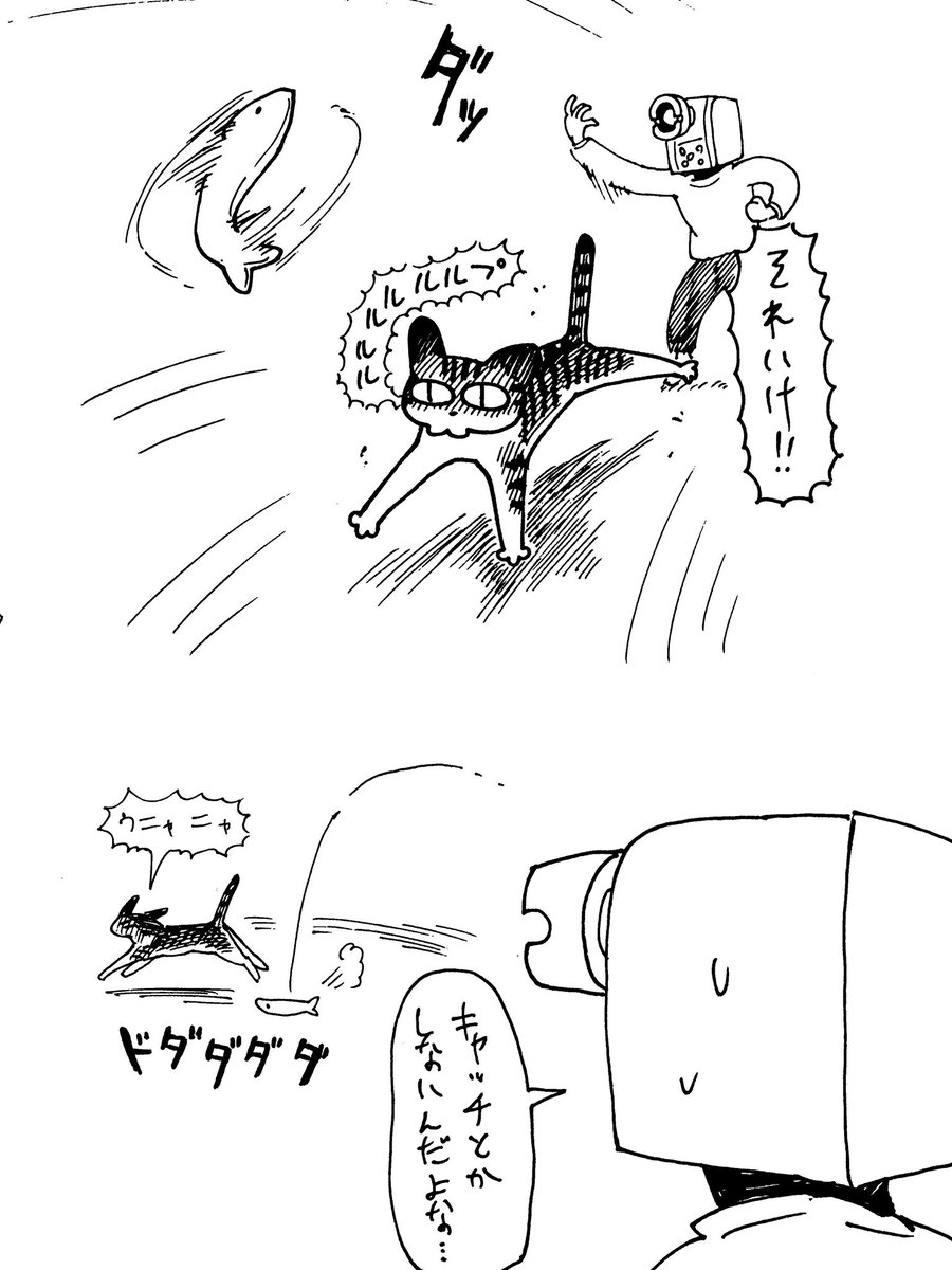 10/13
日記要素

デンちゃんの遊び方が猫っぽくないし犬っぽくもない変な癖ついてる 